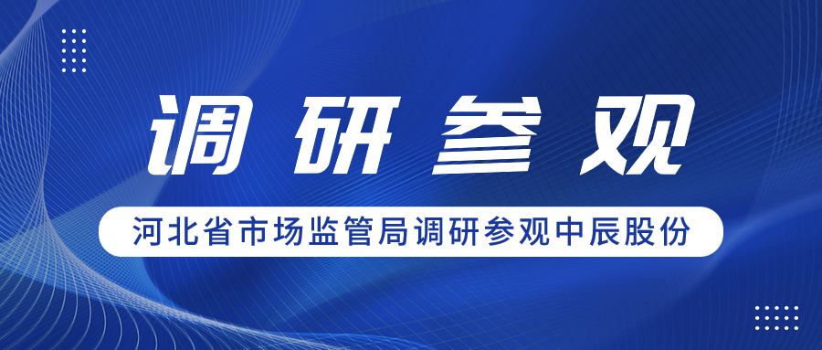 聚合力 促共赢丨河北省市场监管局领导一行调研参观奇发28官网股份