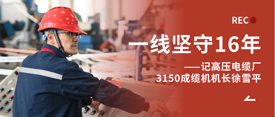 徐雪平：匠“成”于心，十六年筚路“缆”缕