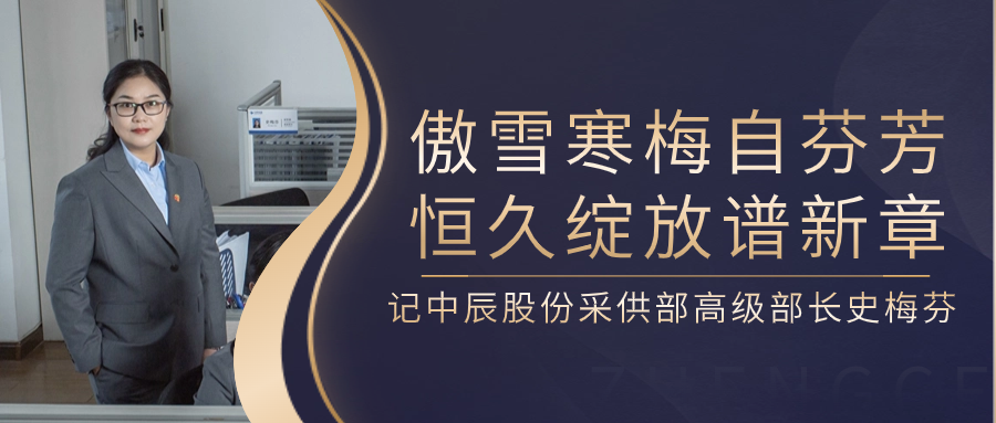 傲雪寒梅自芬芳，恒久绽放谱新章——记奇发28官网股份采供部高级部长史梅芬